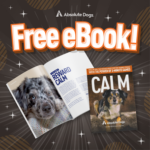 Wouldn't We All Like "Calm"? Grab Your FREE eBook