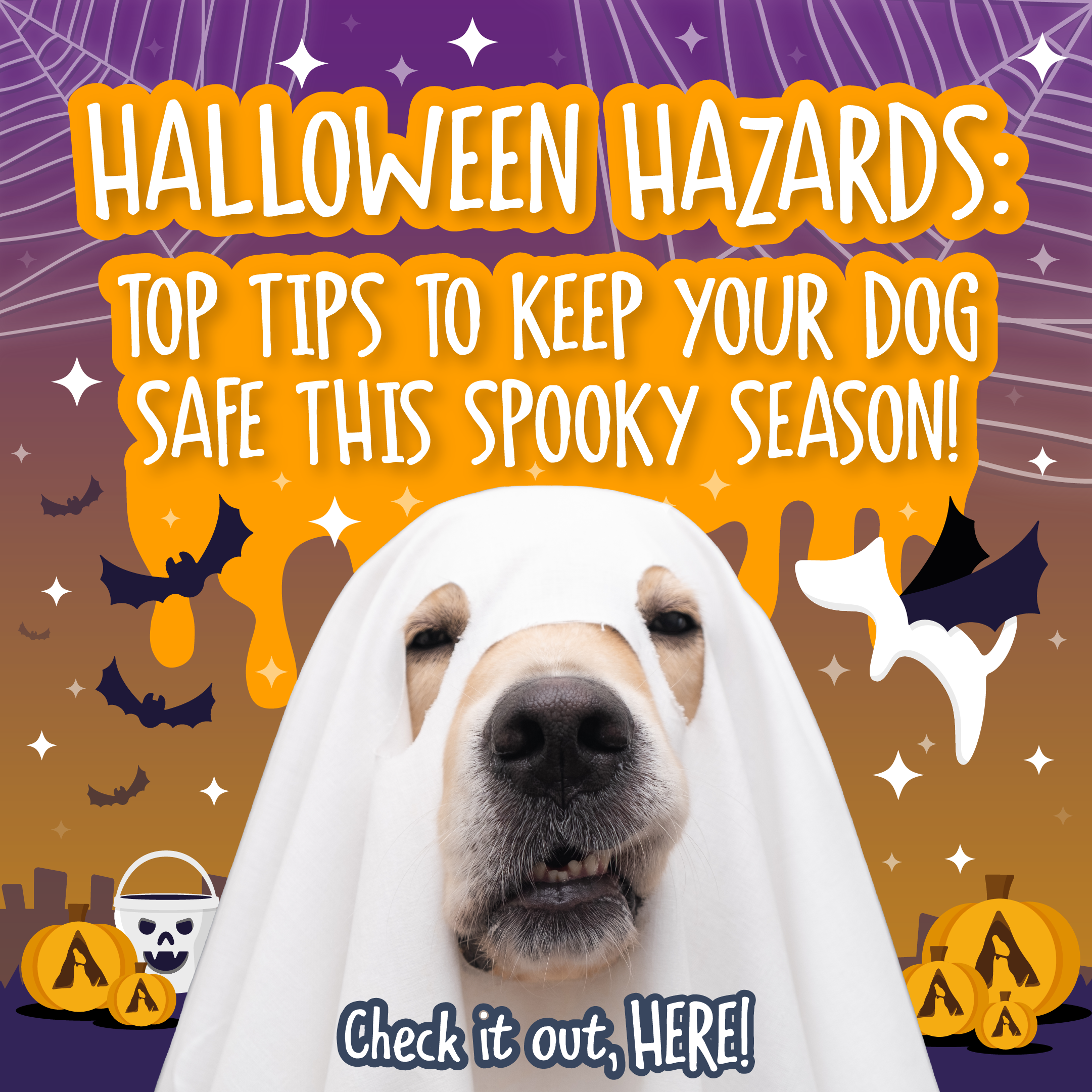 6 Common Halloween Hazards Every Dog Owner Should Know | Keep Your Pup Safe - gmedia