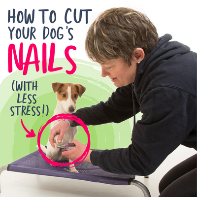 Michelle Clipping Jasper's nails