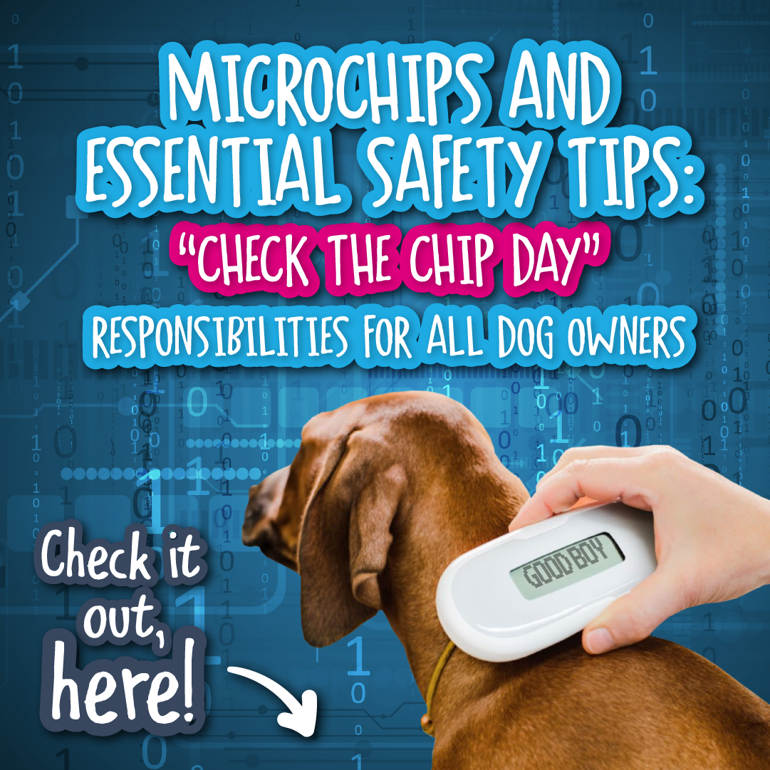 Microchip coming shops out of dog