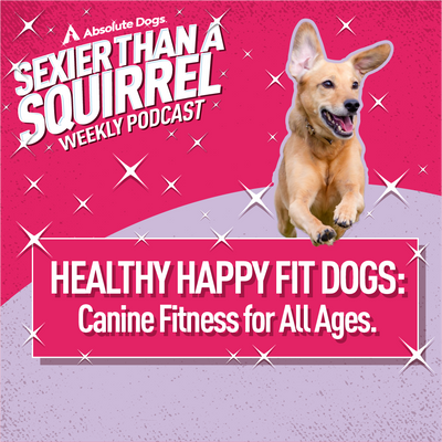 Healthy Happy Fit Dogs: Canine Fitness for All Ages
