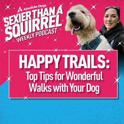 Happy Trails: Top Tips for Wonderful Walks with Your Dog