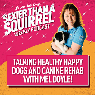 Talking Healthy Happy Dogs and Canine Rehab with Mel Doyle!