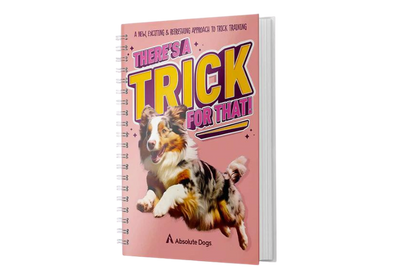 There's A Trick for That!