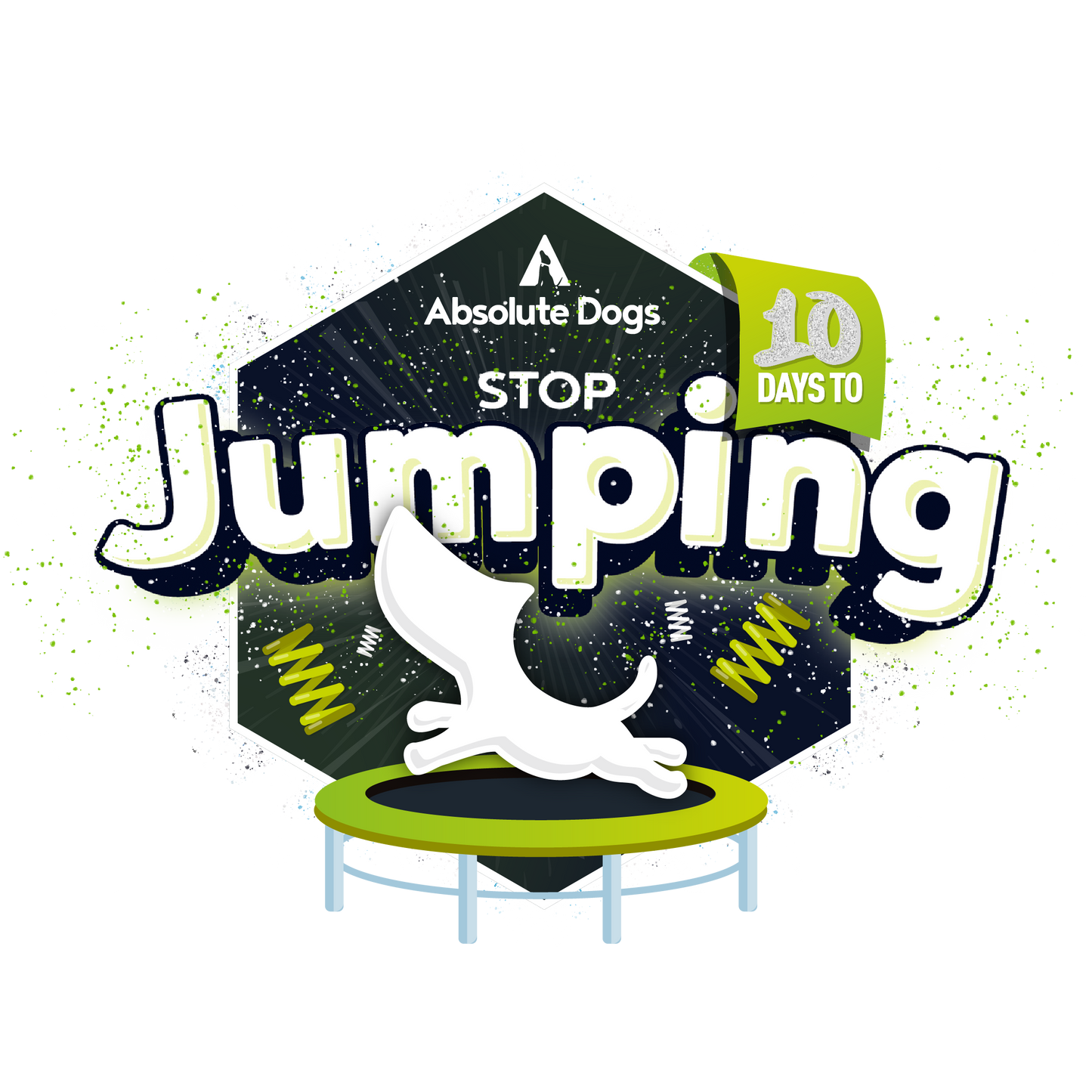 10 Days To Stop Jumping!
