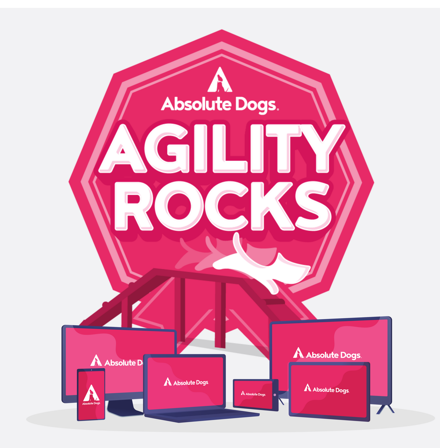 Agility Rocks