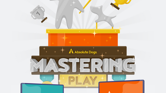 Mastering Play