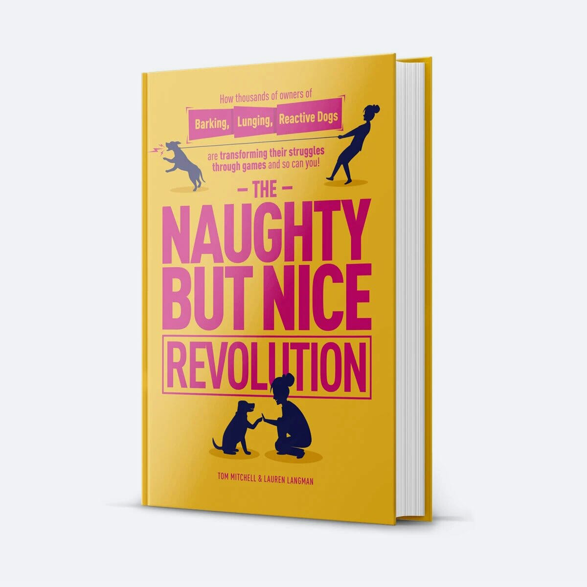 The Naughty But Nice Revolution Book