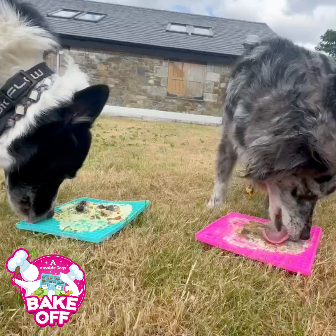 Bake Off (in association with A-OK9)