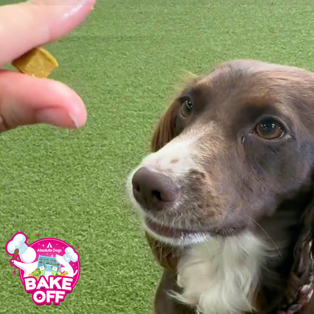 Bake Off (in association with A-OK9)