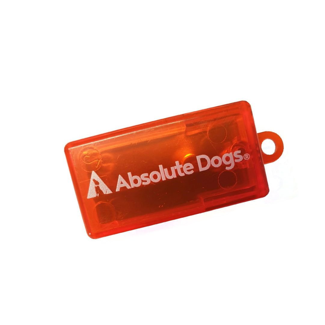 10 Days to a Perfect Puppy: Puppy Success Pack