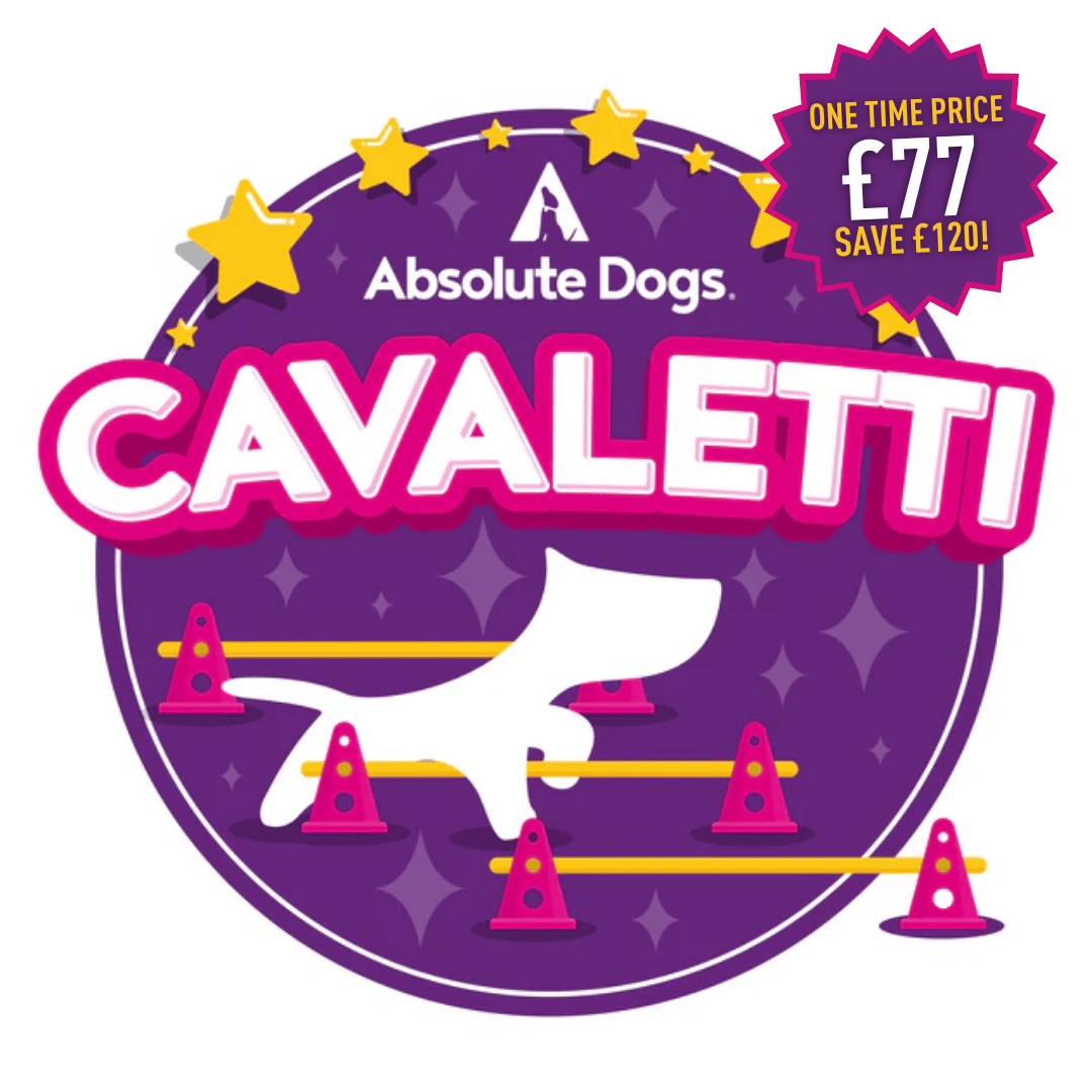 Cavaletti (Releasing Wednesday 14th May)