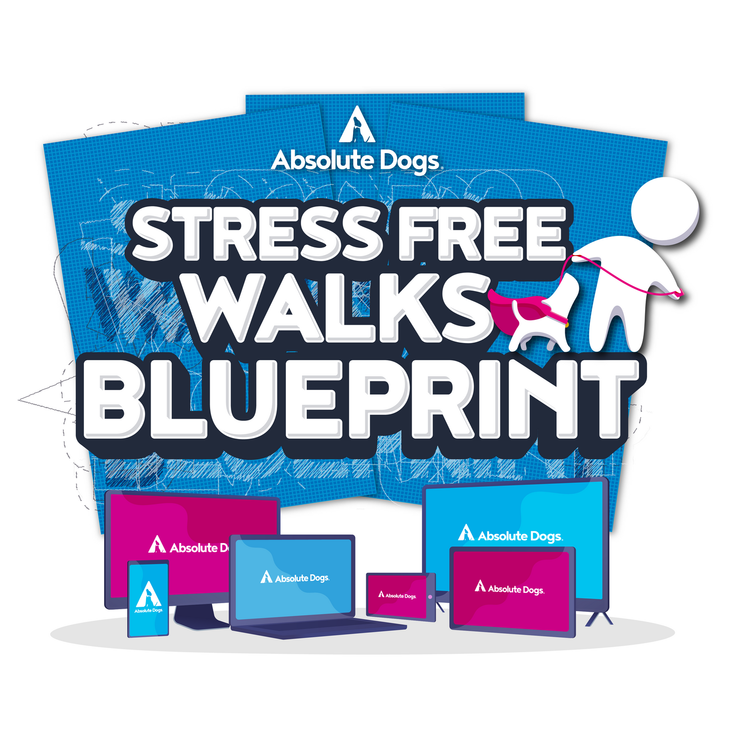 Stress Free Walks Blueprint