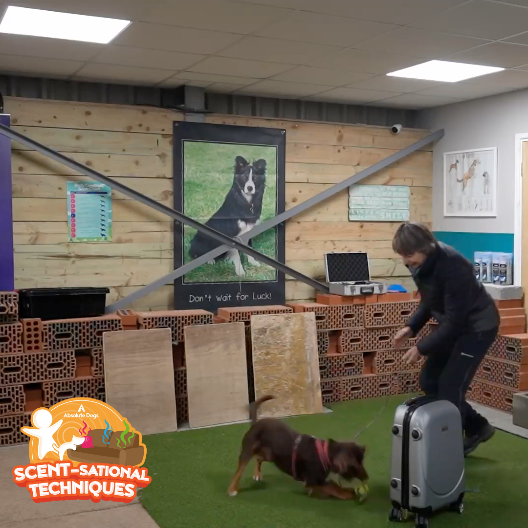 Scent-sational Techniques