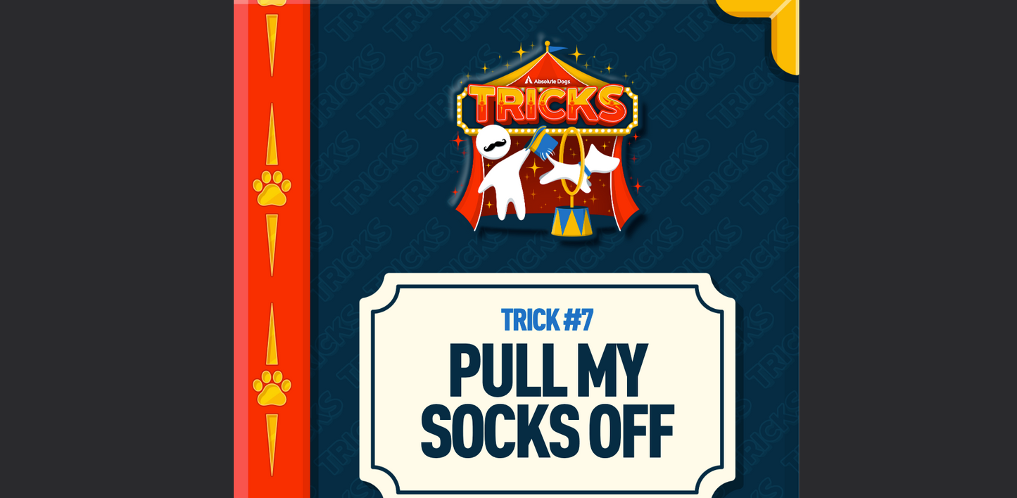 Tricks Masterclass Course