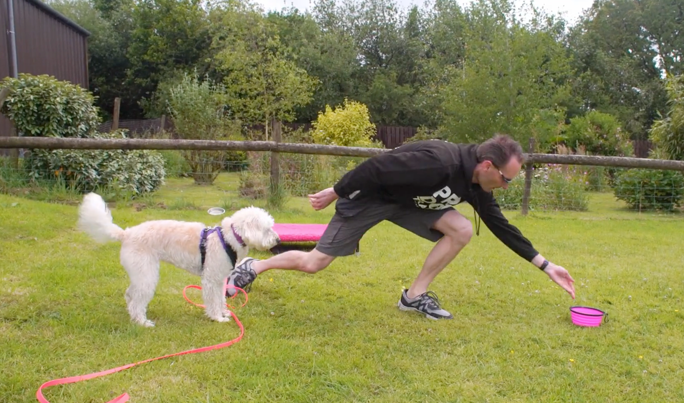 30 Day Recall Rescue