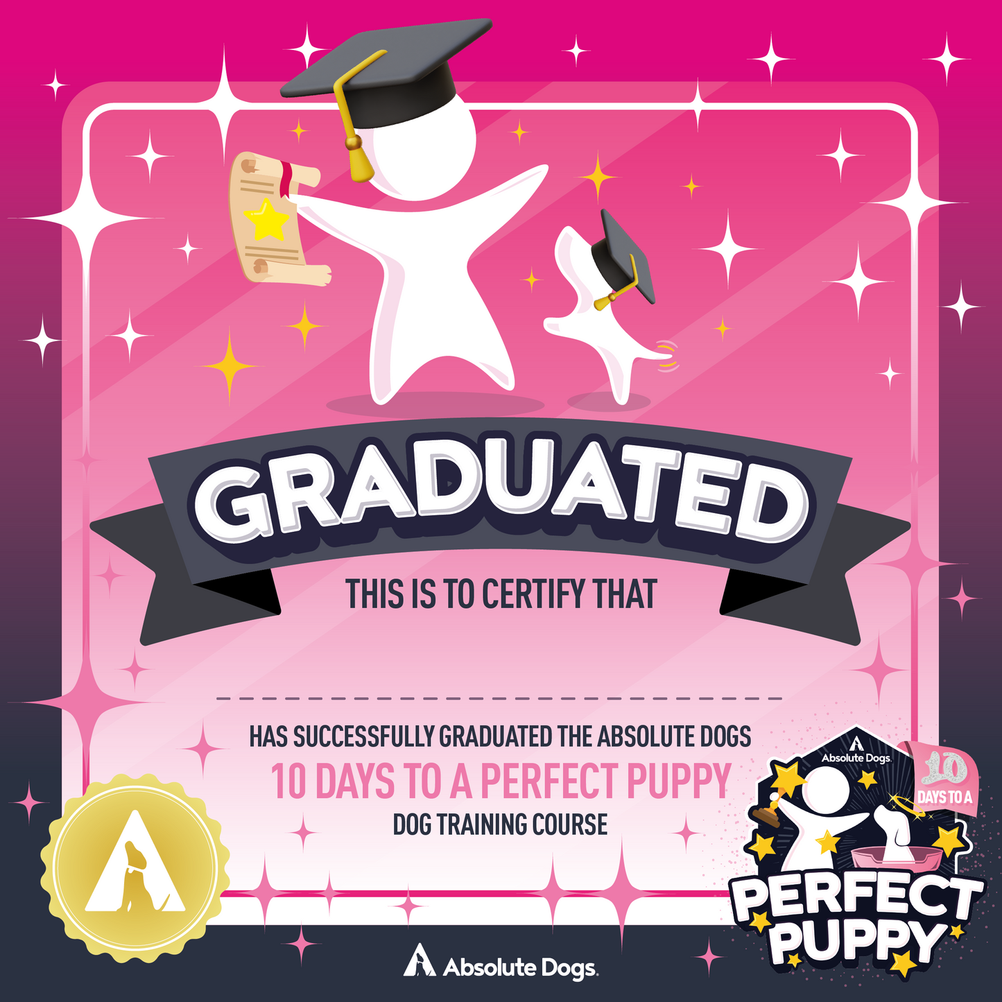 10 Days To A Perfect Puppy