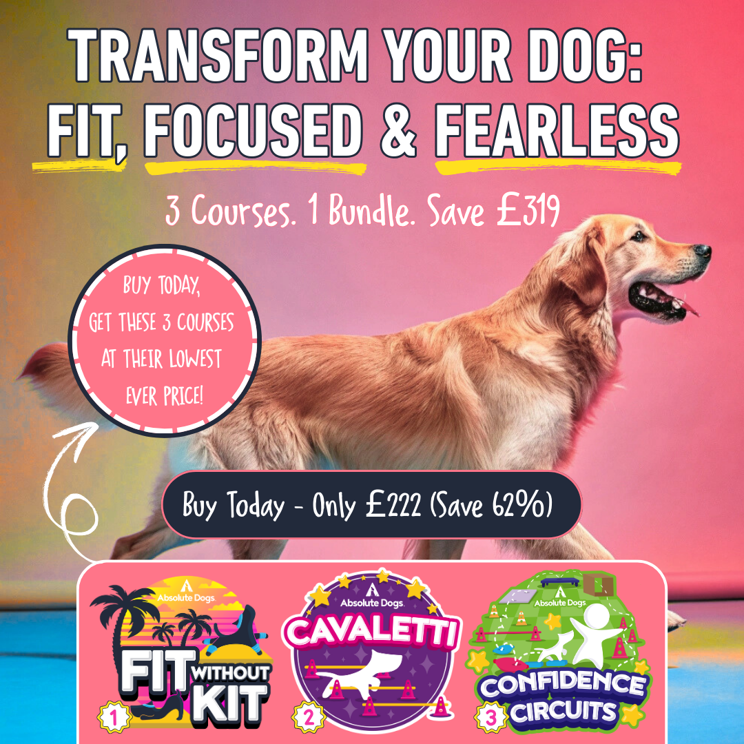 Fit, Focused & Fearless Transformation