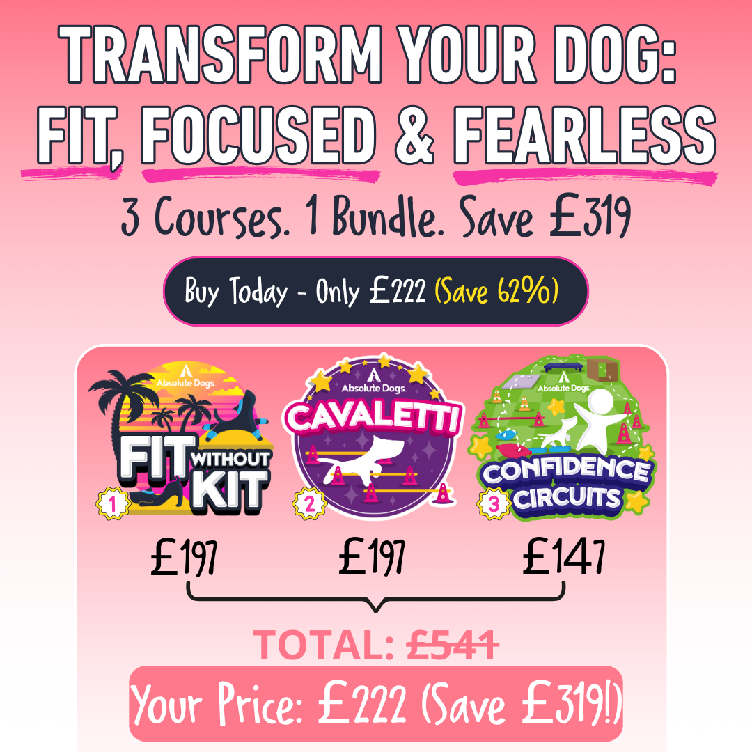 Fit, Focused & Fearless Transformation