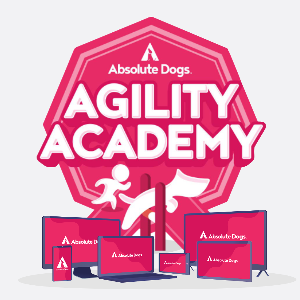 Agility Training Subscription with Lauren Langman & Absolute Dogs