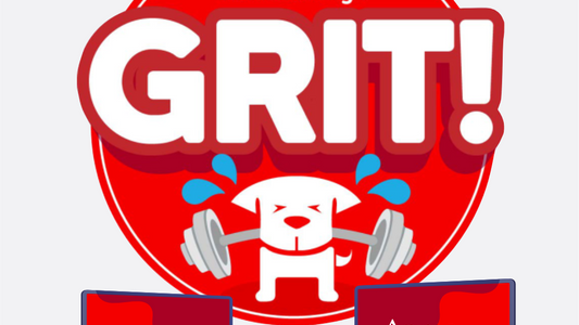 GRIT - Get Really Intense Training