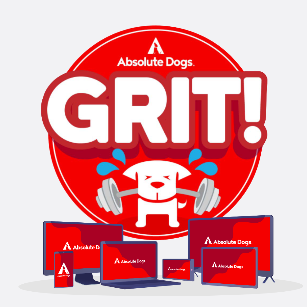 GRIT - Get Really Intense Training