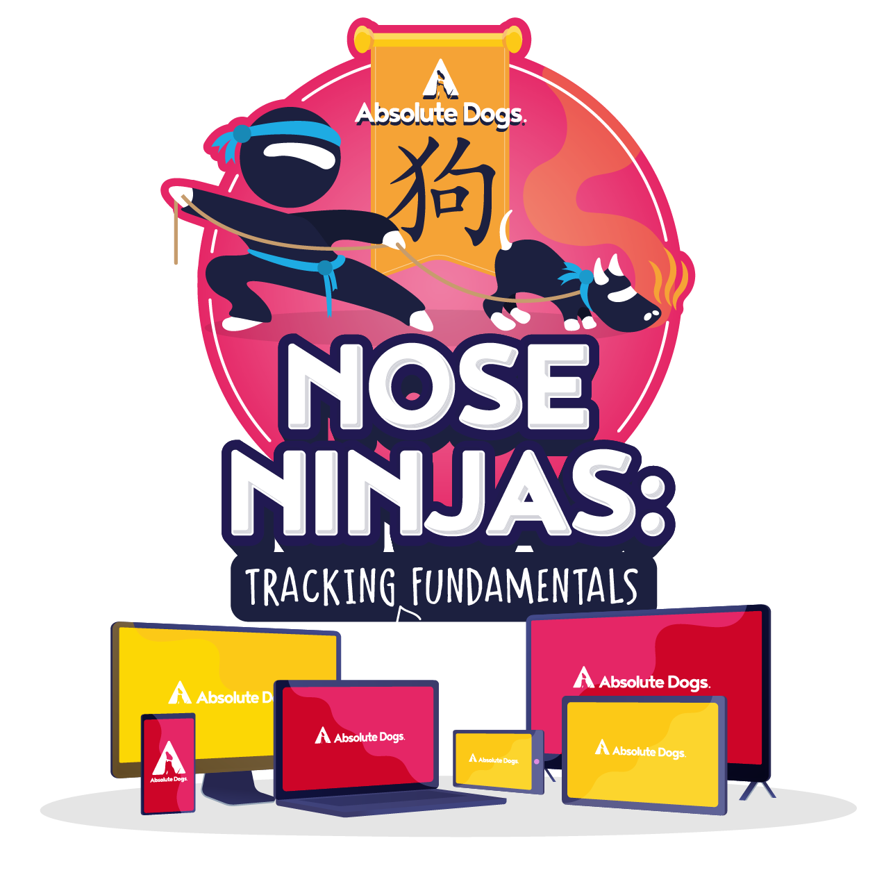 Nose Ninjas