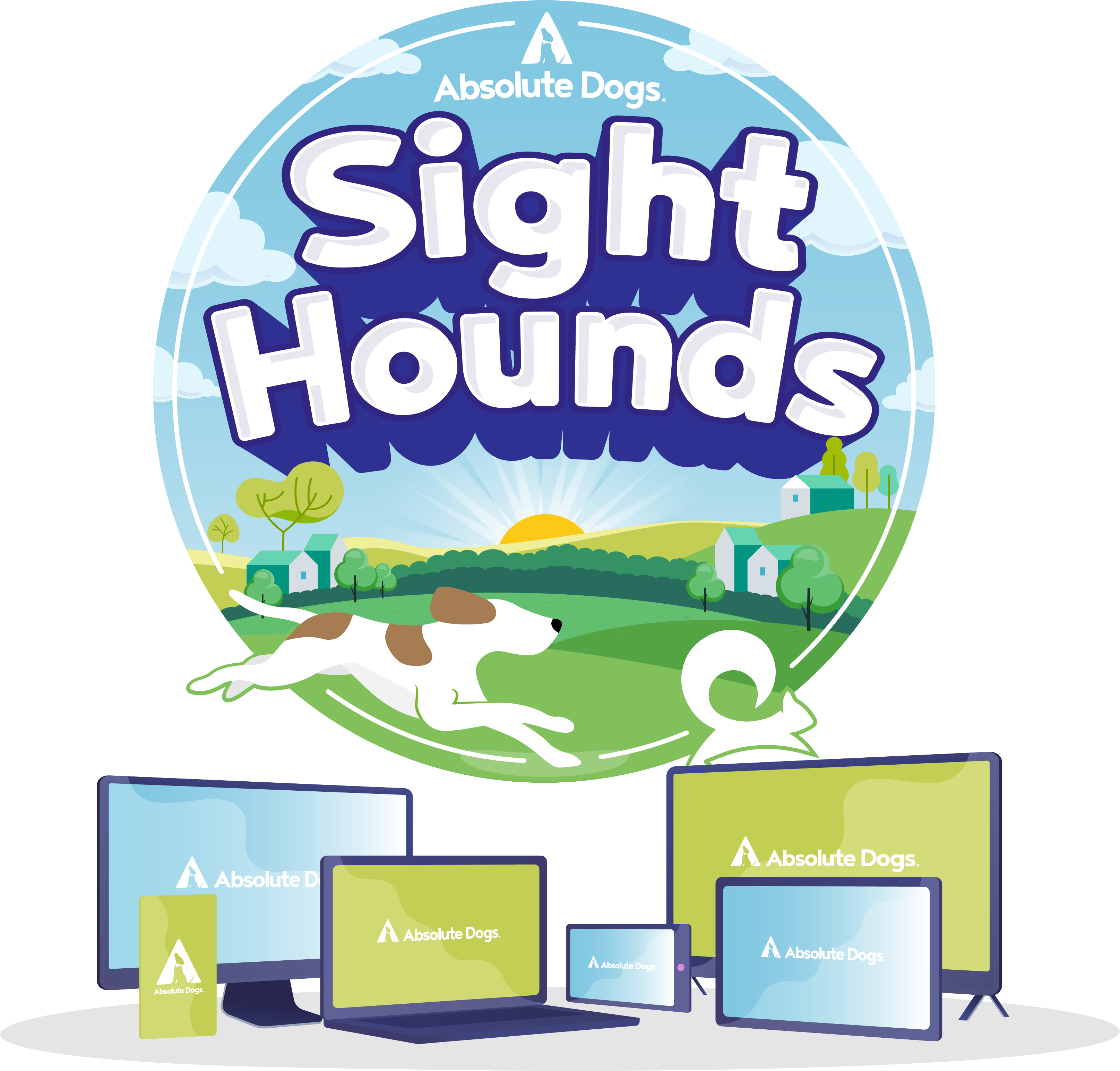 Sightound Dog Training Course With Absolute Dogs sightound-dog-training-course-with-absolute-dogs