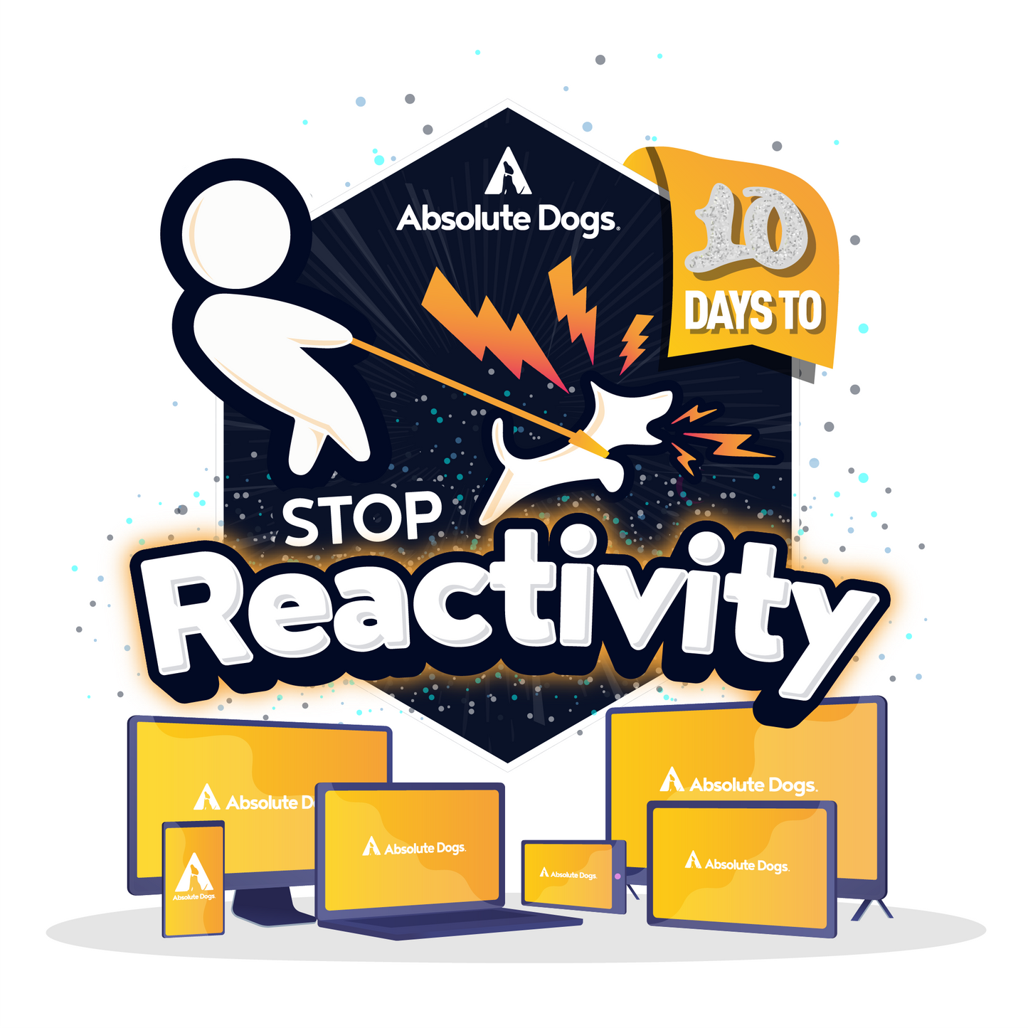 10 Days To Stop Reactivity!