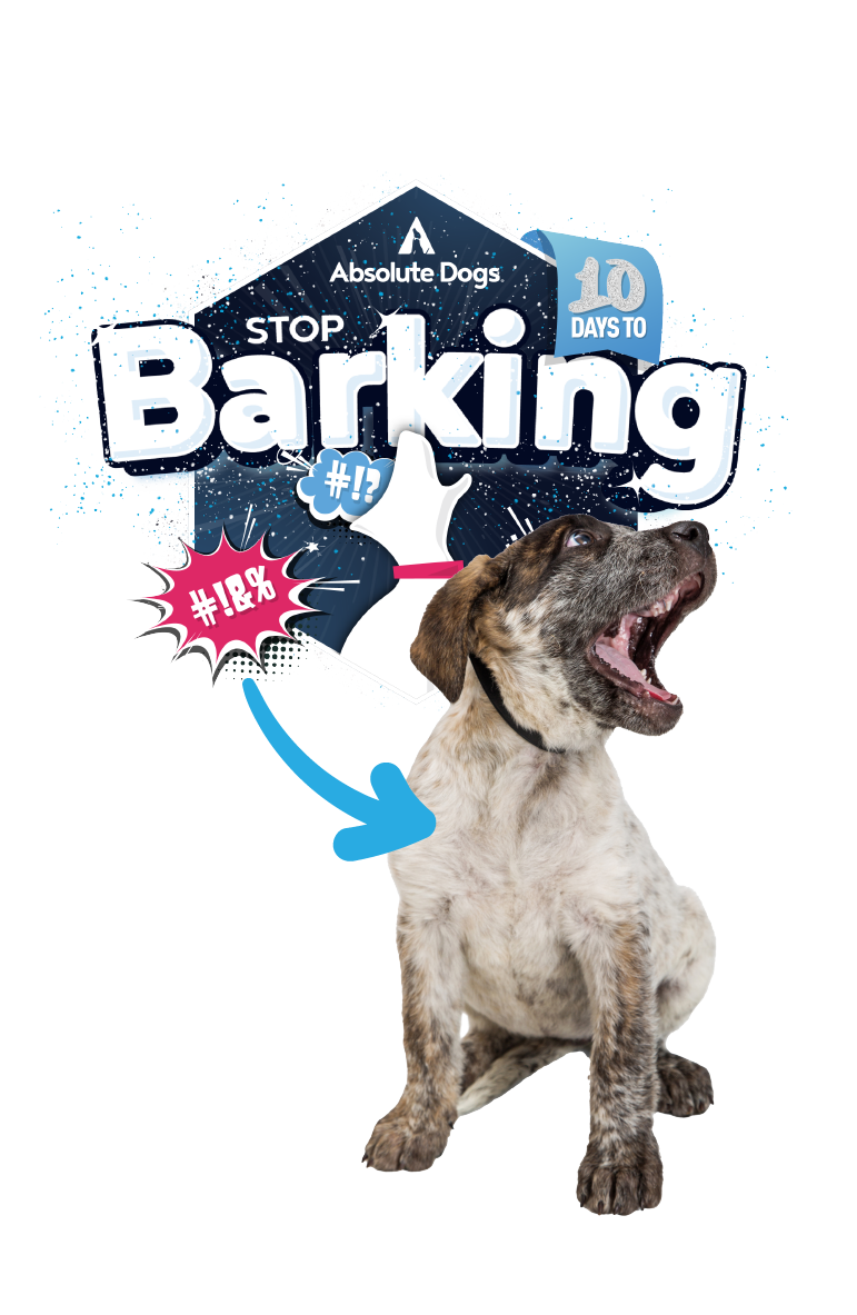 Stop dog barking in 10 days – Absolute Dogs course badge with barking pup and bold cartoon-style graphics for noisy behaviour.
