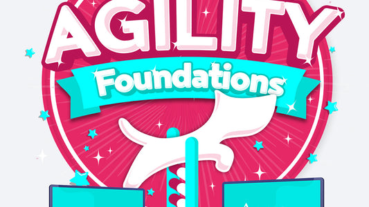 Agility Foundations
