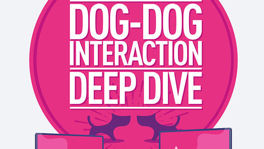 Dog-Dog Interaction Deep Dive