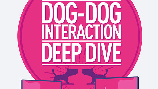 Dog-Dog Deep Dive