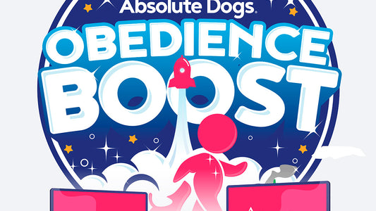 Obedience Boost