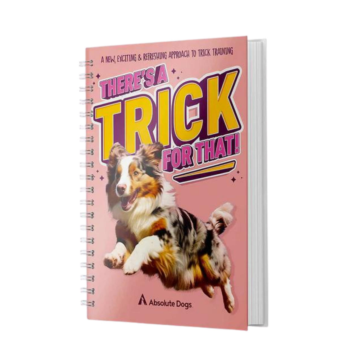 There's A Trick For That Wiro-bound Playbook