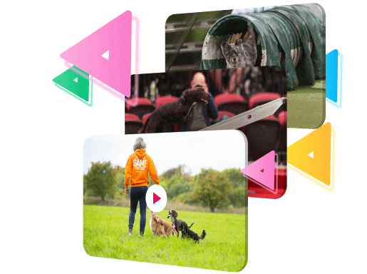 Find a course that tackles your dog’s struggles & watch the video
