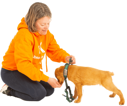 Lady in yellow with dog