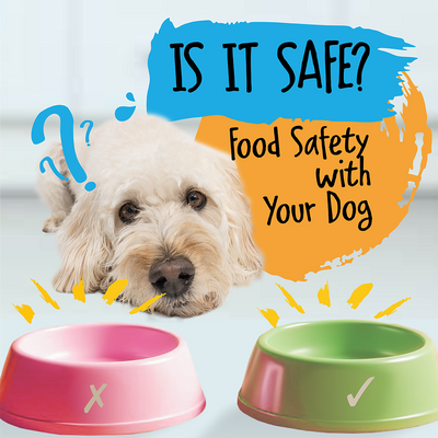 Is It Safe? Food Safety with Your Dog