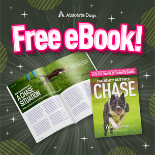 Get Your FREE "Chase" eBook Now
