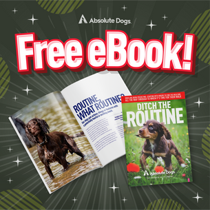 Grab "Ditch the Routine" eBook For FREE