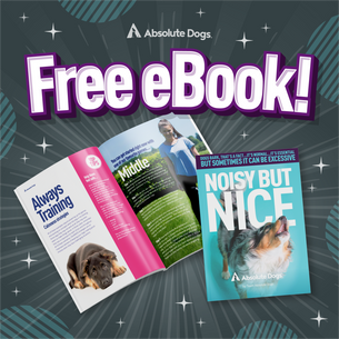 Grab The "Noisy But Nice" eBook For FREE
