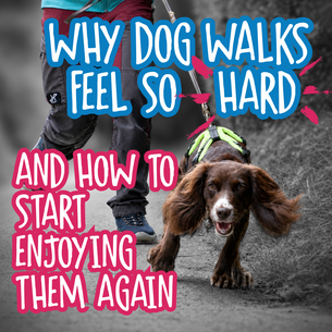 Why Dog Walks Feel So Hard: And How to Start Enjoying Them Again