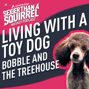 Living with a Toy Dog: Bobble and the Treehouse