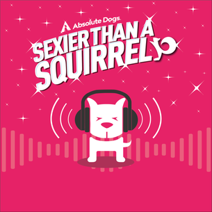 How to Help a Shut-down Dog: Growing Trust and Confidence