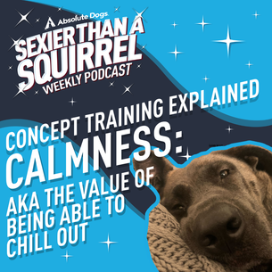 Concept Training Explained: Calmness aka The Value of Being Able to Chill Out