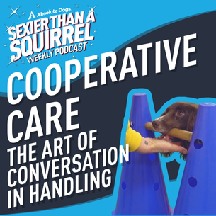 Cooperative Care: The Art of Conversation in Handling