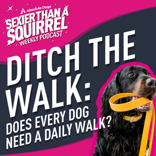 Ditch the Walk: Does Every Dog Need a Daily Walk?