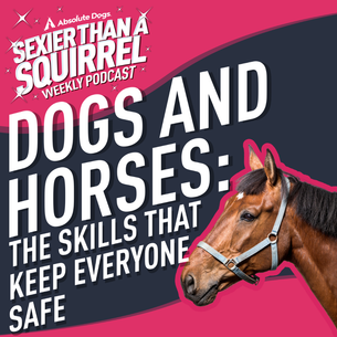 Dogs And Horses: The Skills That Keep Everyone Safe