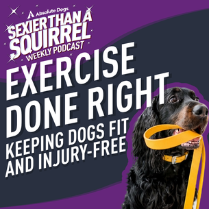 Exercise Done Right: Keeping Dogs Fit and Injury-Free ft. Mel Doyle