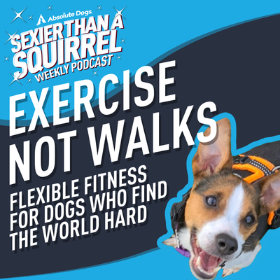 Exercise Not Walks: Flexible Fitness for Dogs Who Find the World Hard